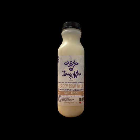 JerseyMoo MiniMoo Grass-Fed Jersey fresh Cow milk 500ml 5.8% M.F