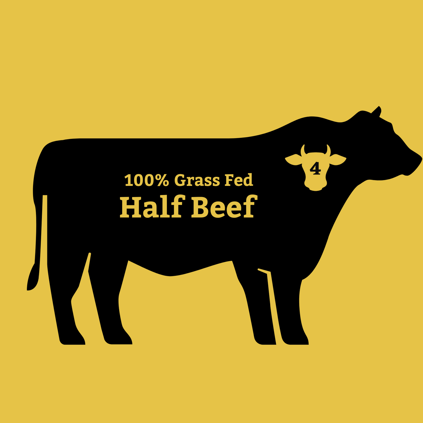 100% Grass Fed Half Beef  (300-400lbs)